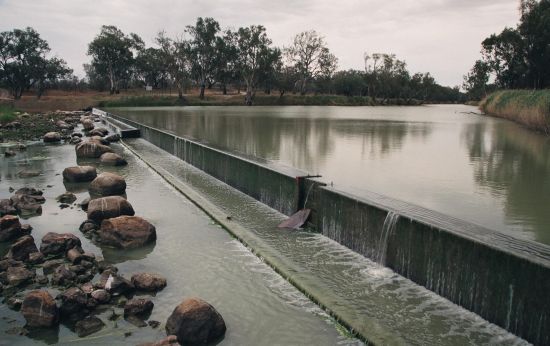 Barwon River fishway gets green light